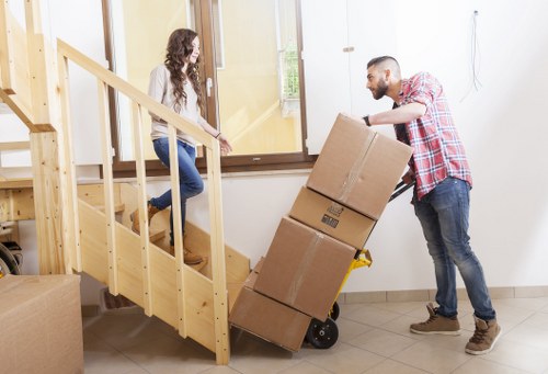 Team of removalists organizing household items