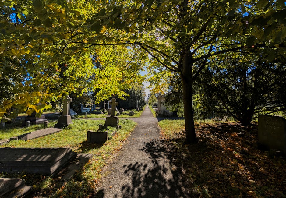 A narrow pedestrian pathway within Brompton Cemetery is shown, lined with trees casting dappled shade on the ground. To the left of the path, several tombstones and memorial stones of varying shapes a